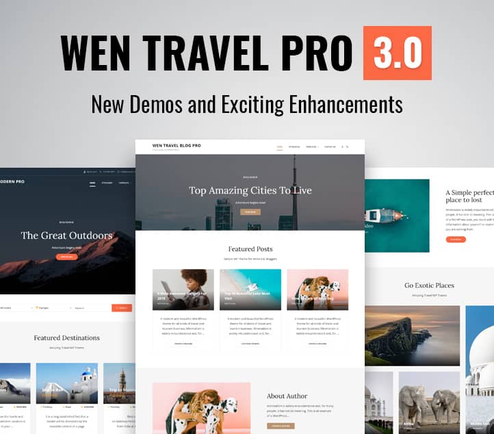 WEN Travel Pro 3.0